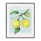 Stupell Industries Sorrento Lemon Branch Framed Giclee Wall Art Design by Reinders